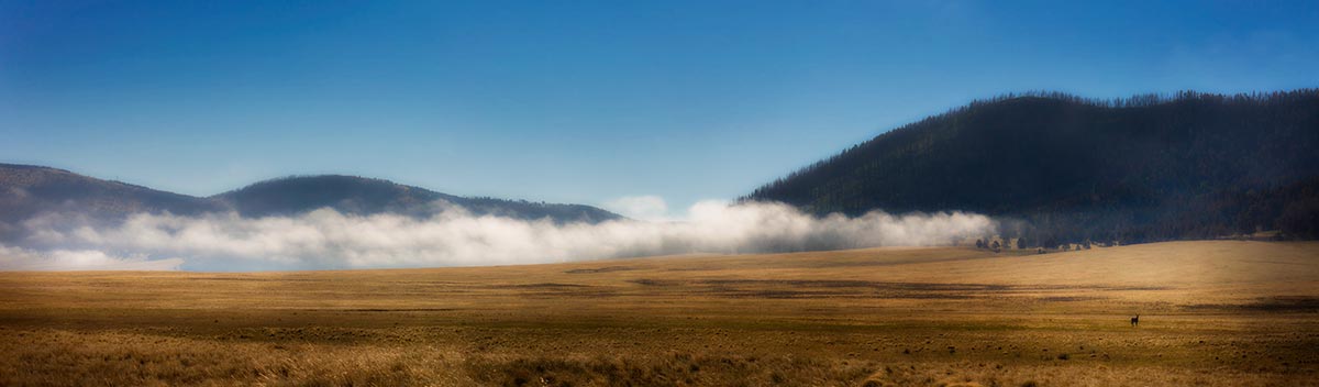 Valles Caldera National Preserve NM. Photographed by Mark A Steele Photography Inc